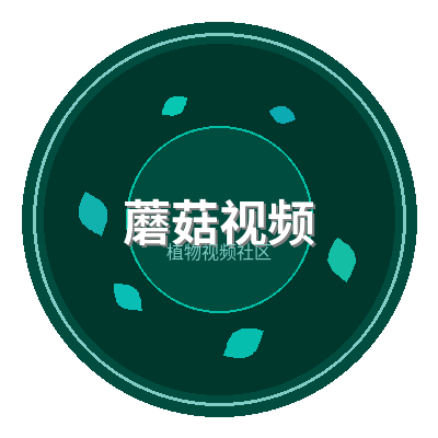 蘑菇视频